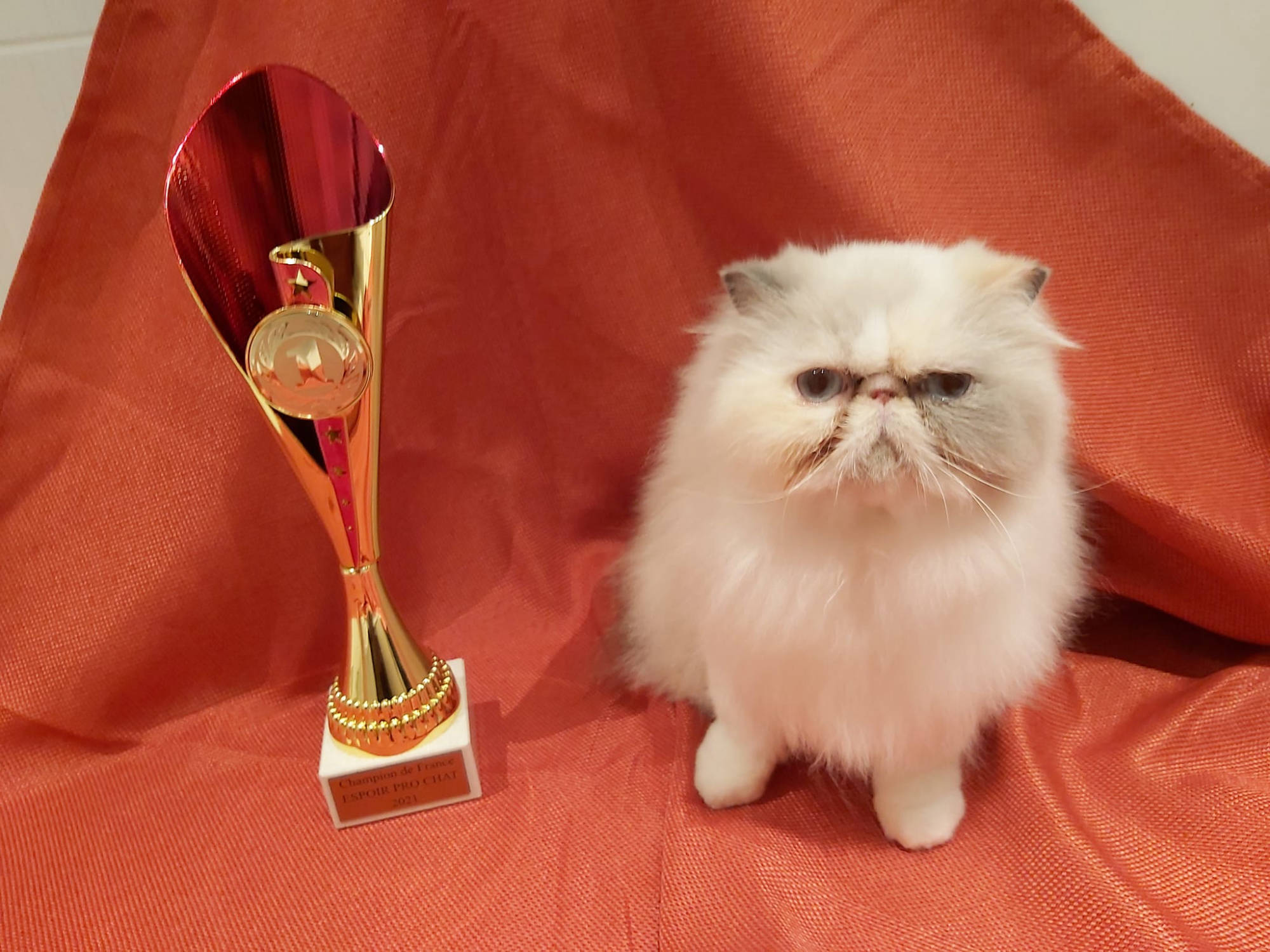 Championne de France en classe pro espoir pour Chats