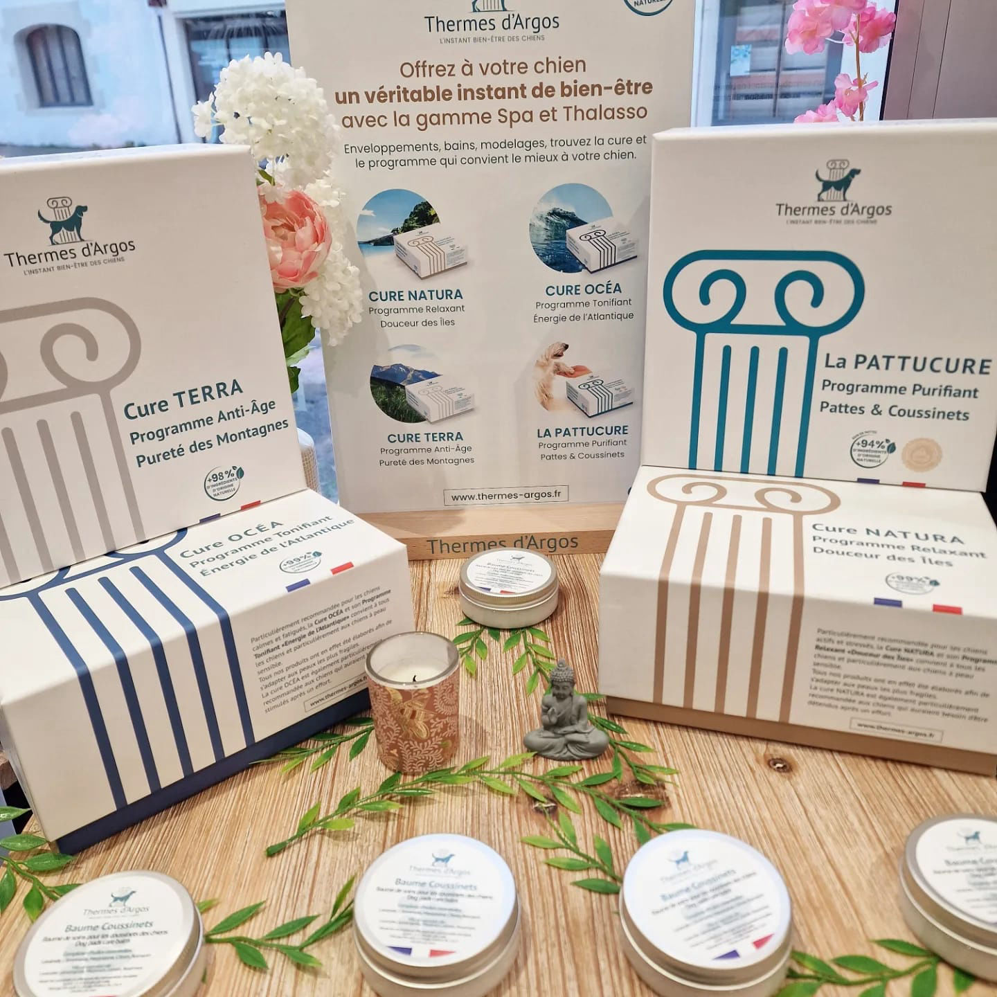 Cure Spa et Thalasso pour chiens - Atouts poils